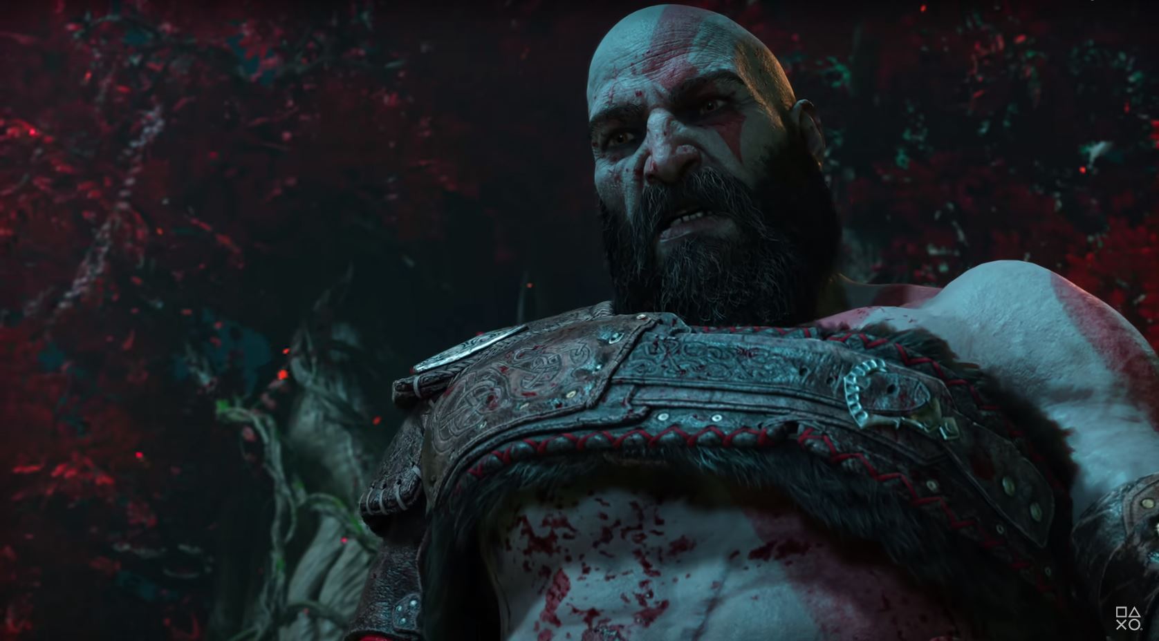 The Witcher New Saga